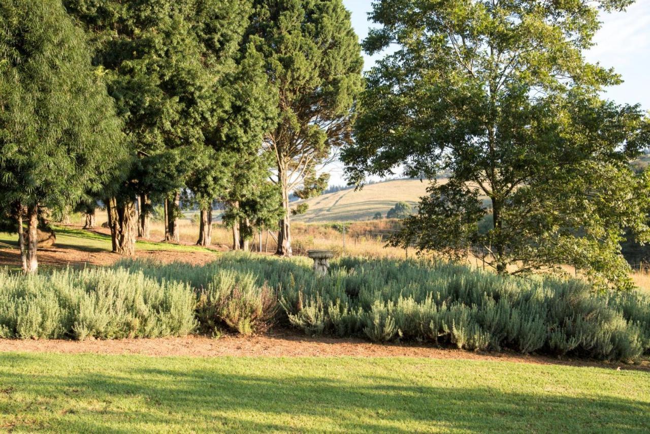 Lions River Country Cottages Esterno foto